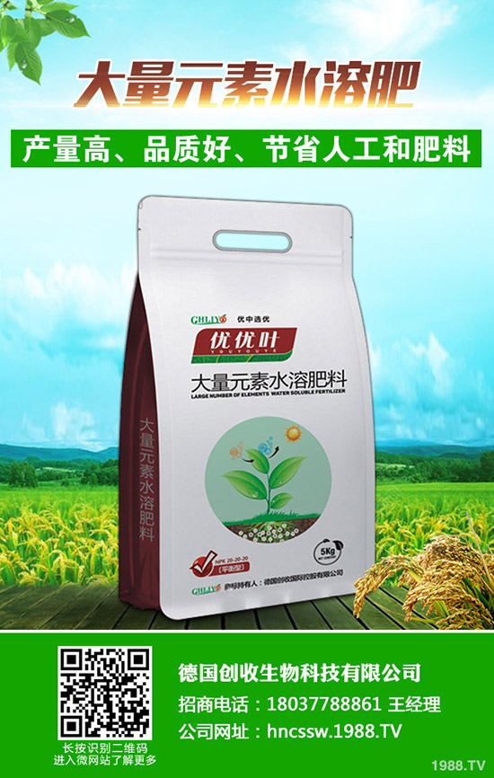     ���Շ�(gu��)��(n��i)���@�r(ji��)�������߄�(sh��)�A(y��)�y(c��)�C���u(p��ng)��2019��9��18��