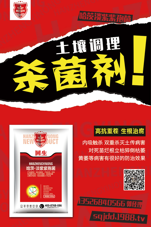 �������߲�Σ�������������߲����μ���