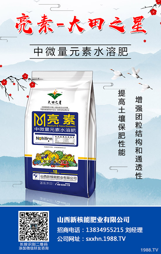 �＾�߲�����������＾���õ������С���������g(sh��)��