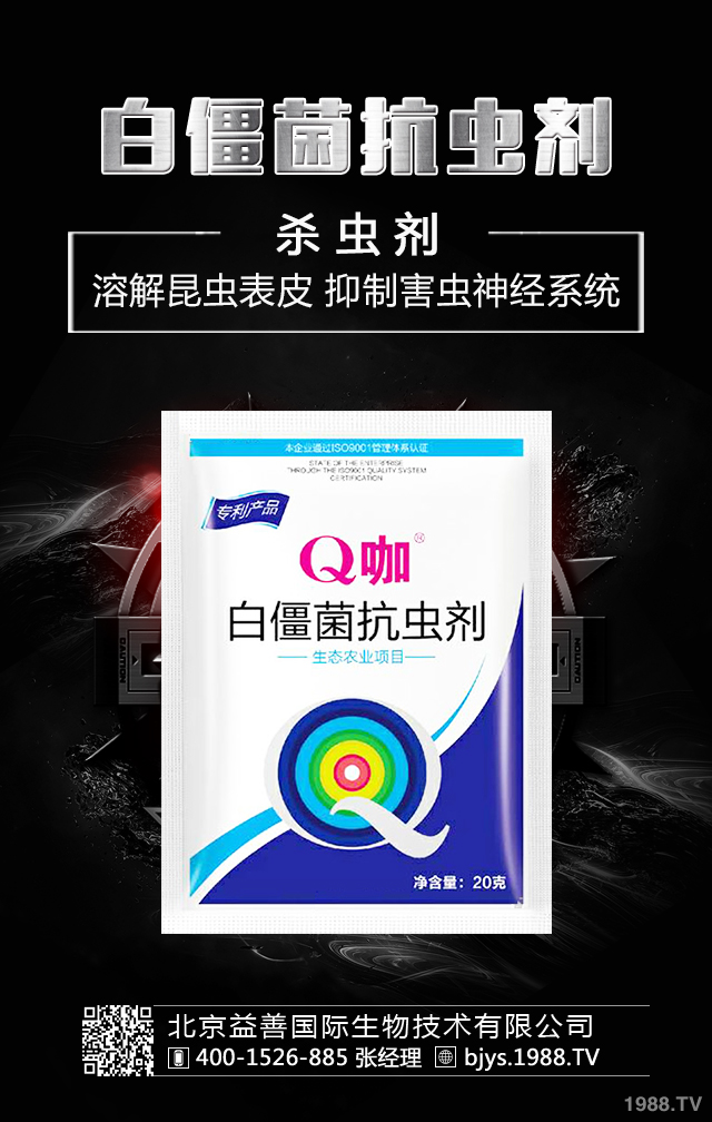 �¼����x����ô�������¼����x�����μ��\