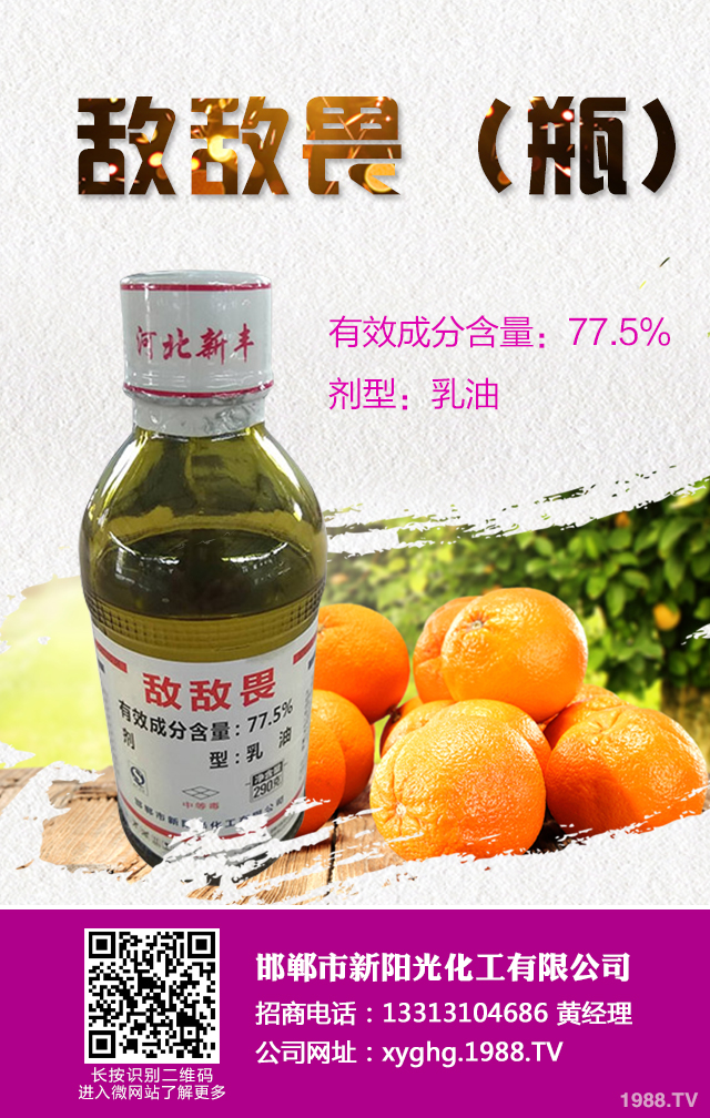 柑橘紅蜘蛛怎么防治？柑橘紅蜘蛛有效防治技巧