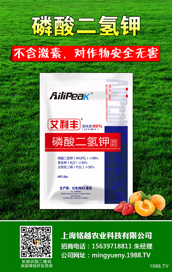 �㶹����������ЩΣ�����F(xi��n)��ԓ���ӷ������㶹���������η���