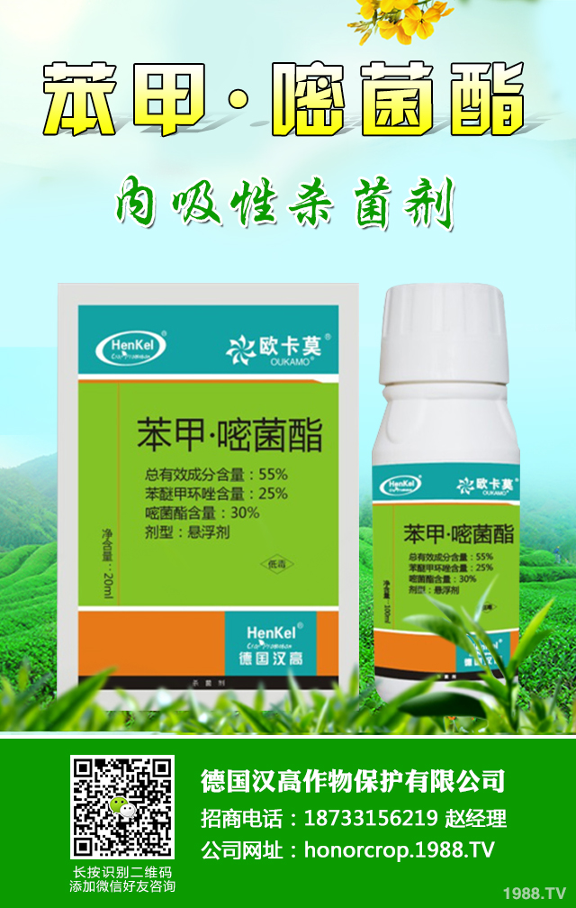 �n�S�ְ߲���ô�����n�S�ְ߲����μ���