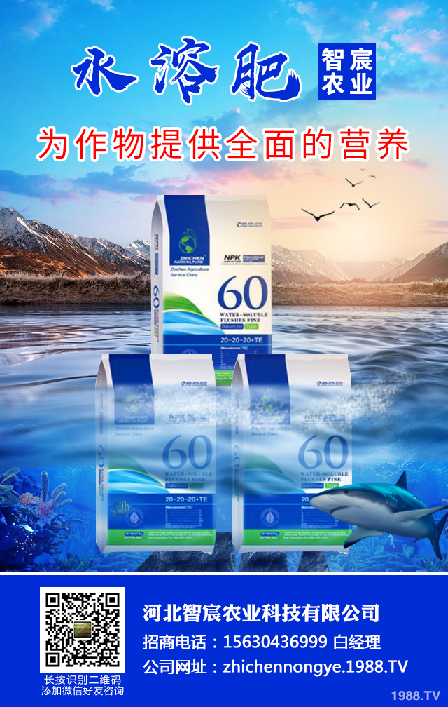 ��������������η����������綬���������g(sh��)