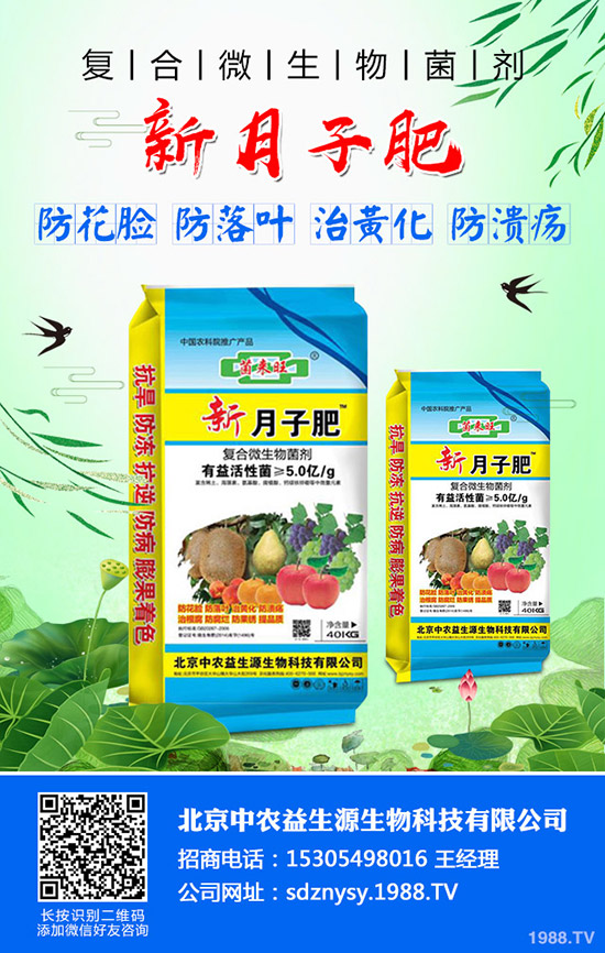 今日局部區(qū)域尿素市場行情及參考報價2019-10-4