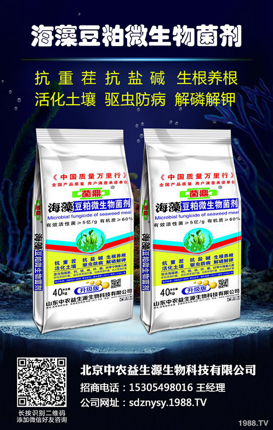 2019年10月第一周最新復(fù)合肥價格行情走勢分析