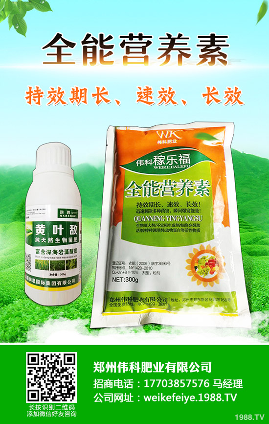 ���Ә���ô�޽������Ә�޽ӕr(sh��)�g�ͷ�����