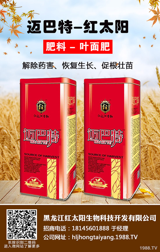 �������K��ʲô��̎�����K�������c��Ч��