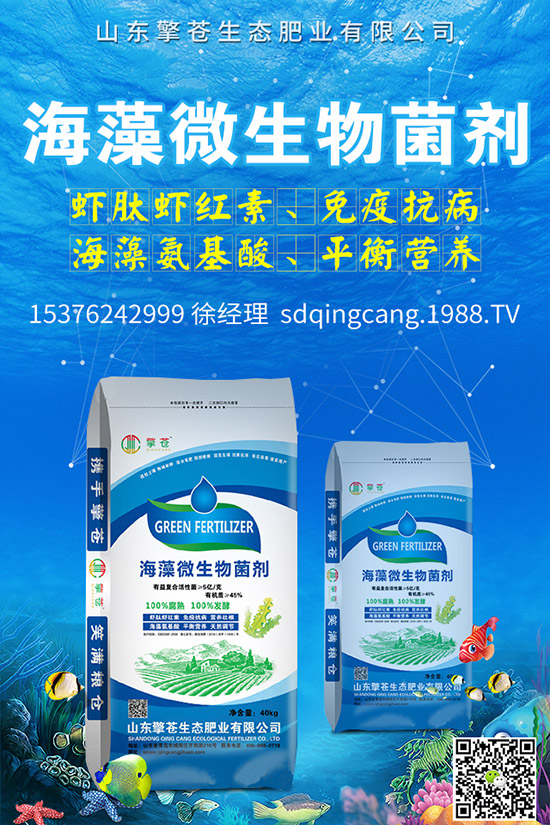     �ﶬ�}����ô�Nֲ���ﶬ�}�����N�r�g�����g����������