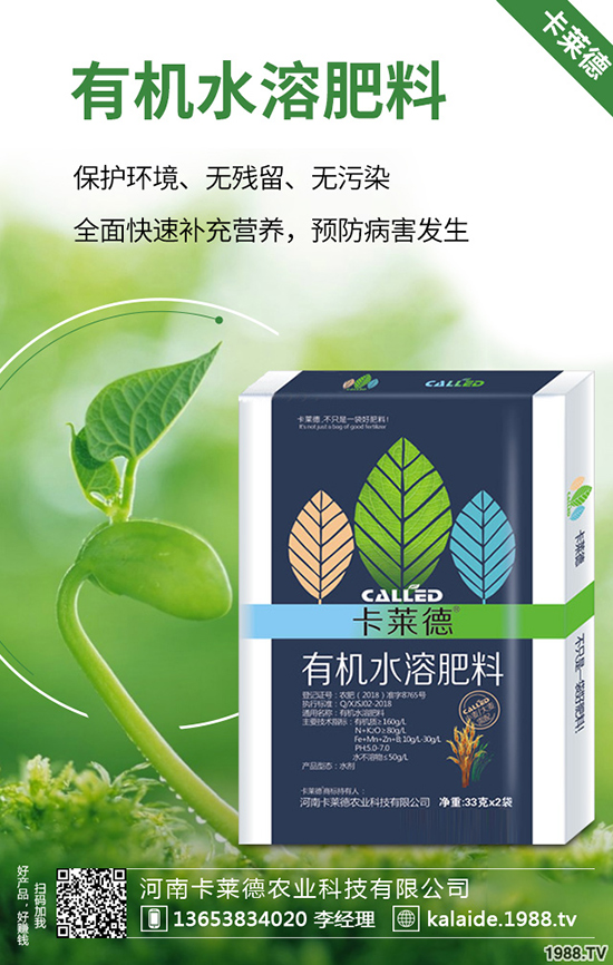 �G�}�L��̫�L��ô�k���G�}���޼���������Щ��