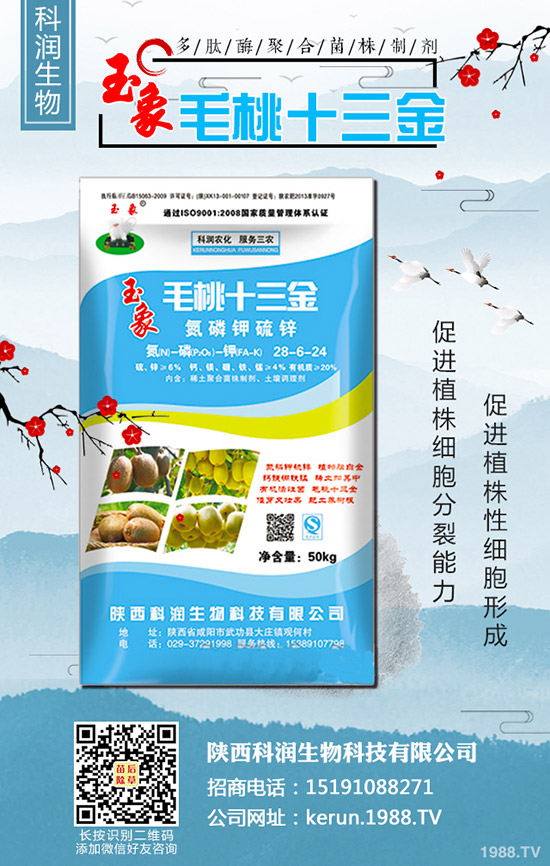     ���؃r(ji��)��Εr(sh��)���{(di��o)�������������������߄ݷ���2019-10-7