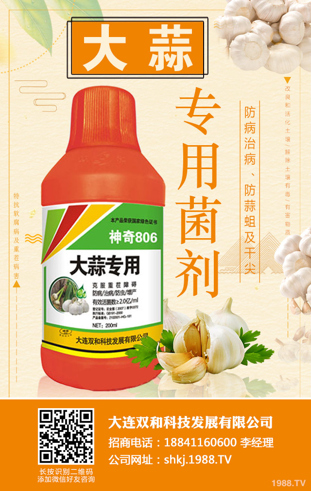 �����ز粡����η����������ز粡�����μ���