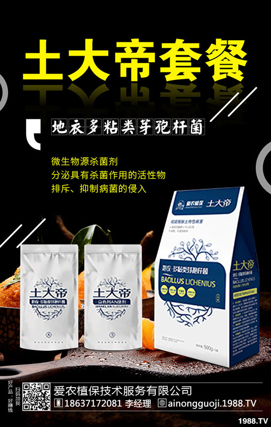 ���·ݿ��ԷNʲô�߲���2019��9���߲˷Nֲָ��!