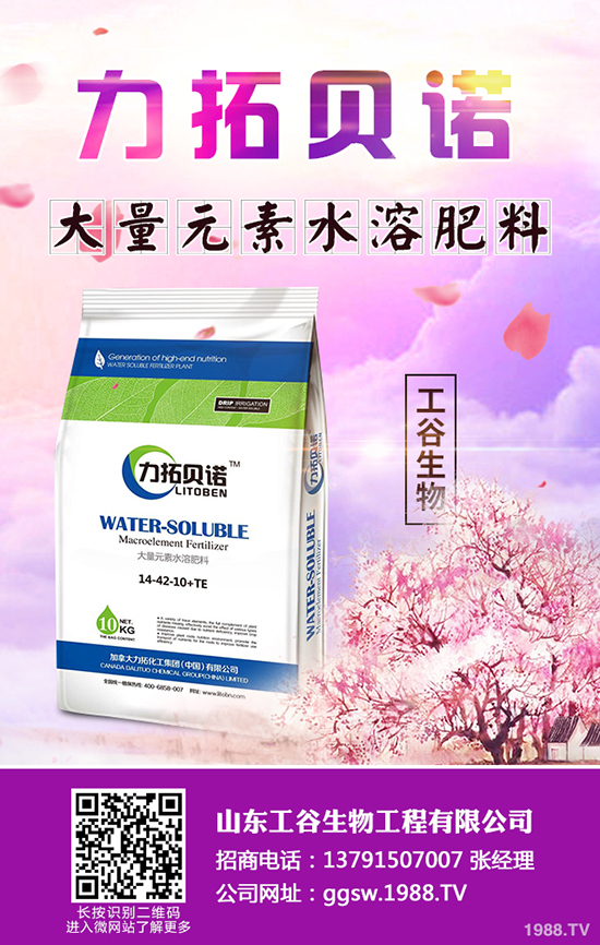 �ﶬ��С�Ͳ���ηNֲ���ﶬ��С�Ͳ˷Nֲ���g(sh��)�����g����������