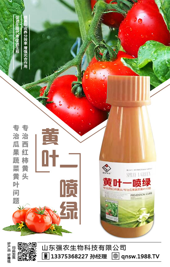 ���}�����N�r�g�����}���Nֲ��Ҫע����Щ�����