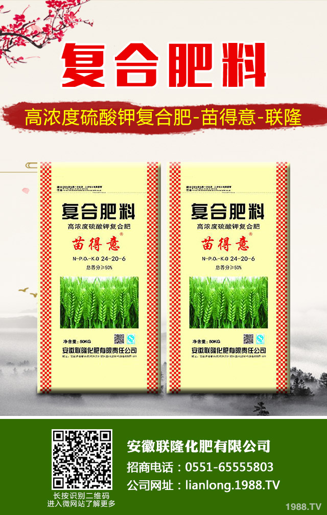 �K�F�~�S�݆��}��ô��Q���K�F�~�S�ݽ�Q����