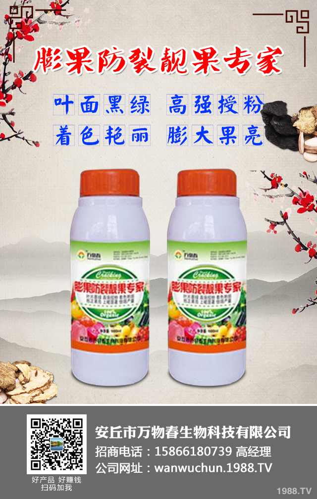 ����A(y��)����ݮ��������ݮ���η��μ���