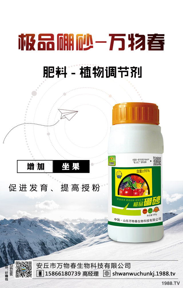 油橄欖怎么修剪?常見油橄欖修剪方法