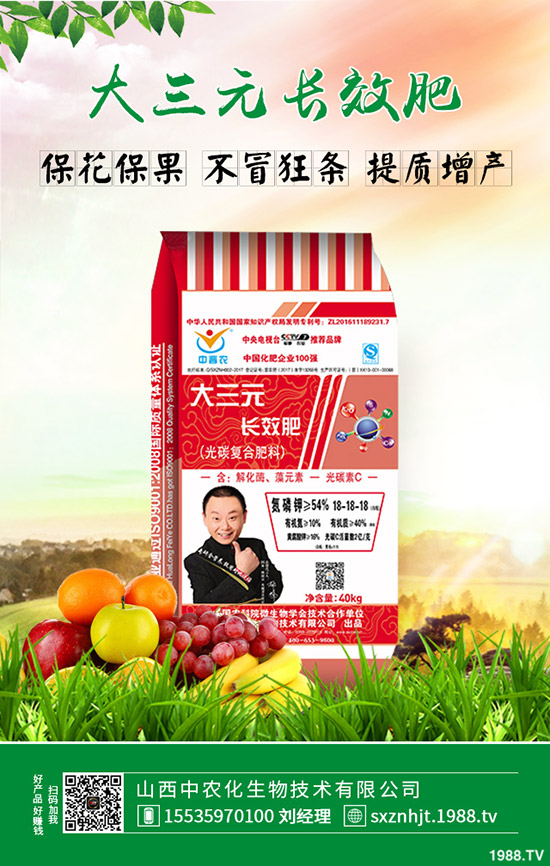     ���ȏͺϷ��Ј���������������r2019��9��5��