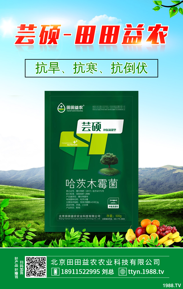 ����������η������������ٷ�������