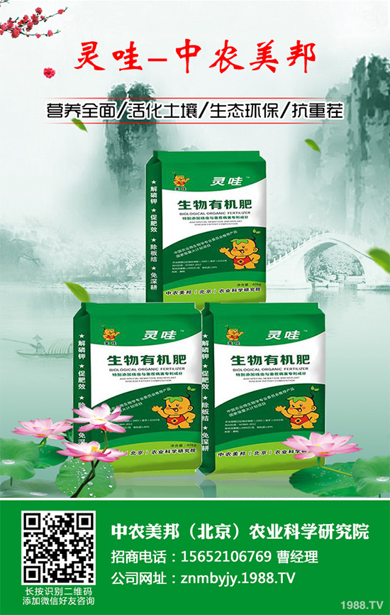     �n�ĺڰ߲�����ΰl(f��)���ģ�����ЩΣ�����n�ĺڰ߲����δ�ʩ