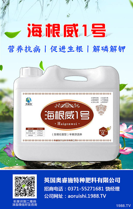 �����^����Щ��̎�����^�ĠI(y��ng)�B(y��ng)�r(ji��)ֵ��ʳ�ý�����