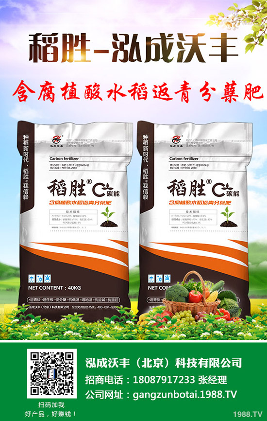 2019年9月7日最新磷酸二銨價格行情走勢分析及后市預測