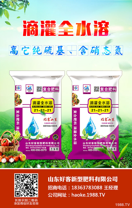 ������ӹ�������ϸ�Ч����������