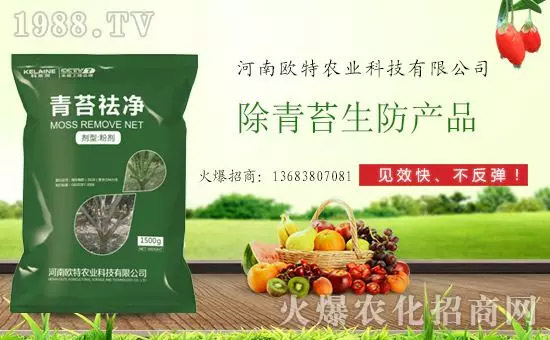 神奇除青苔劑!,不反彈!干凈,青苔無(wú)蹤!