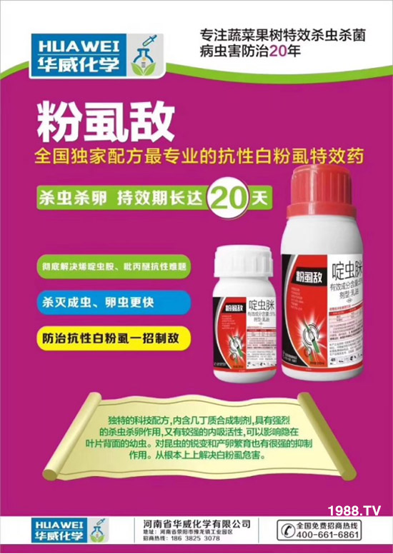     ���θ߿��԰׷�ʭ�������x����һ���Ɣ�