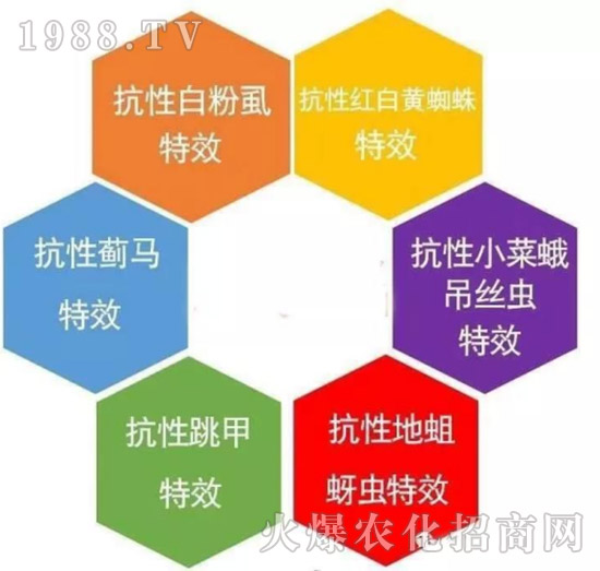     ���θ߿��԰׷�ʭ�������x����һ���Ɣ�