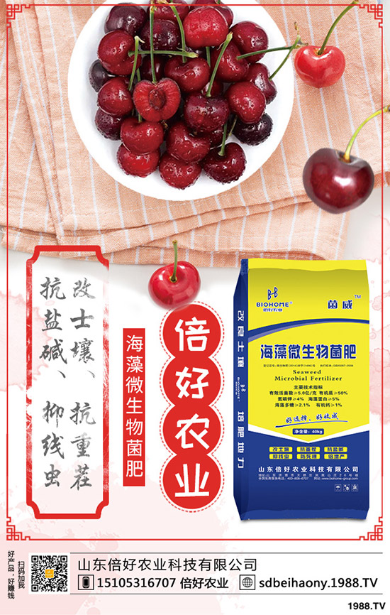 尿素行情走勢一般!2020年1月中旬尿素行價(jià)格后市預(yù)測!