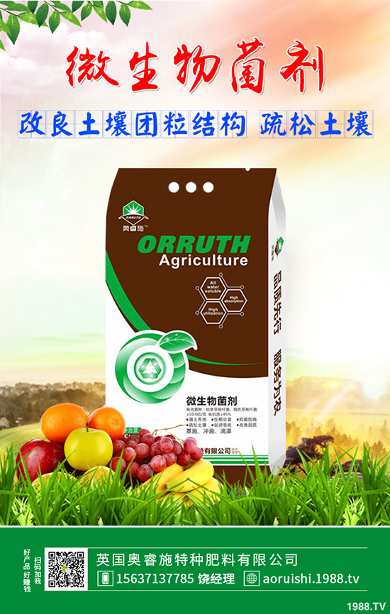 �O�������ʵ���ô�k���O���������ʵ͵�ԭ�򼰽�Q������