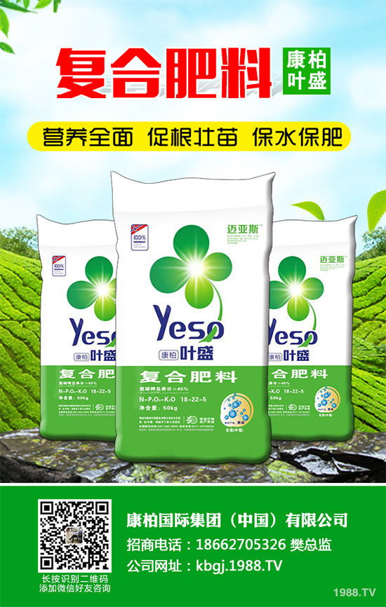 �۲˰߿ݲ�����ЩΣ���Y�����۲˰߿ݲ���Σ��������