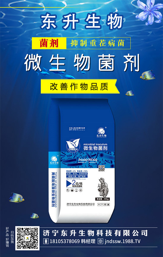 ʯ���(sh��)ʲô�r(sh��)��޽Ӻ���ʯ���(sh��)�޽ӷ�������Щ�أ�