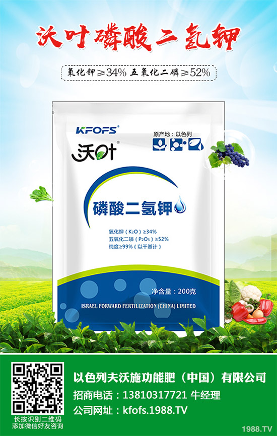 �۲˲���������ЩΣ����ԓ��η������۲˲�������Σ���c����