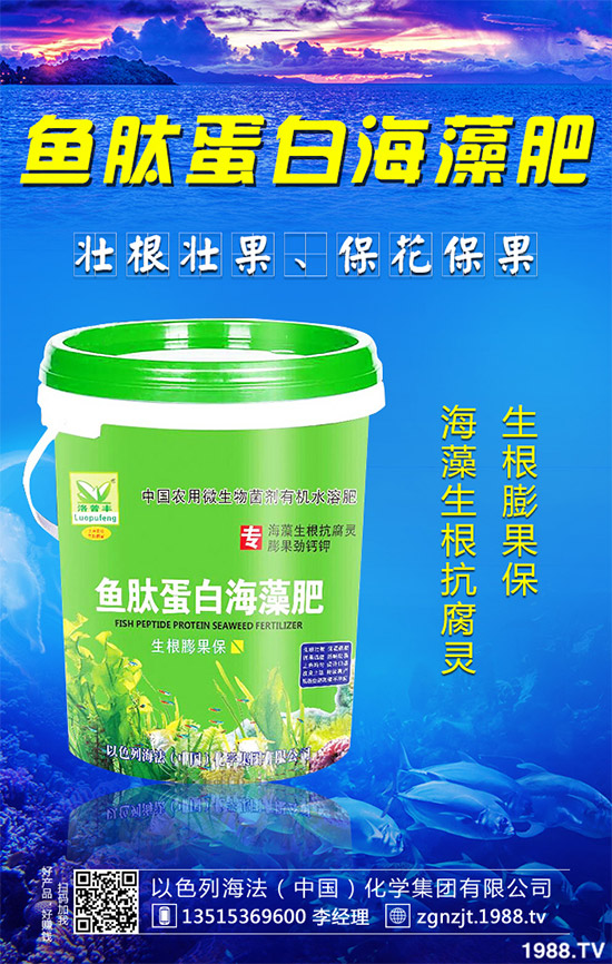 �۲˲���������ЩΣ����ԓ��η������۲˲�������Σ���c����