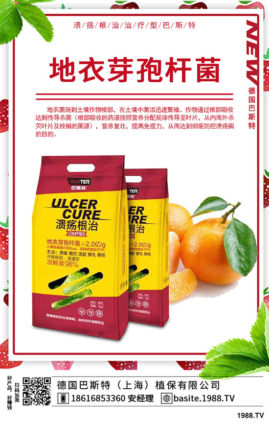 �ֲ��؅^(q��)���������»���2020-1-17����(n��i)���؃r���߄ݼ��������u��