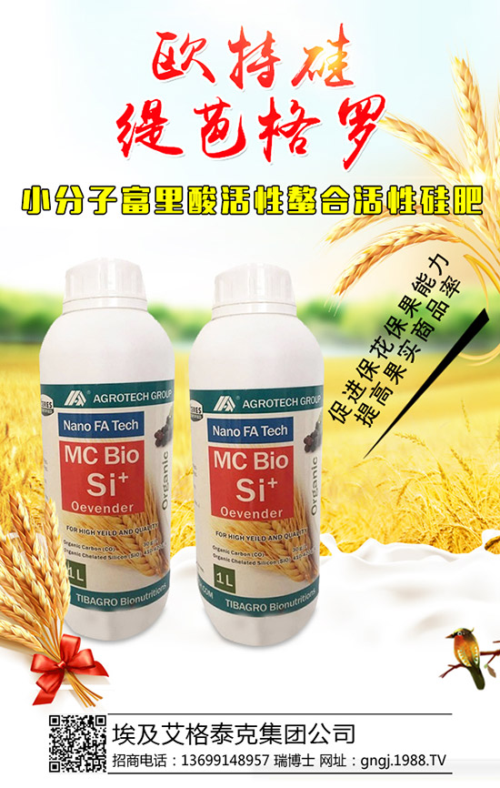 ���������Y(ji��)��������ô�������������������������