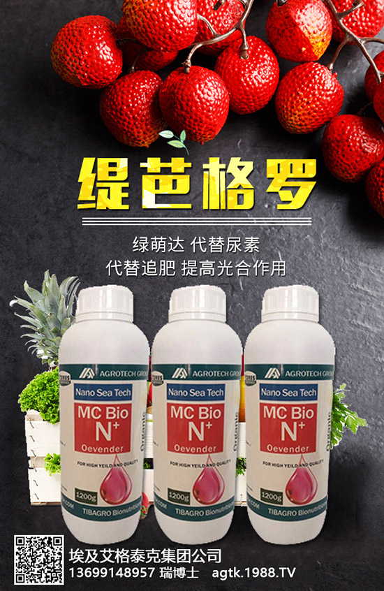 ���A�ĠI�B(y��ng)�rֵ����Щ����Ч�c��������Щ��������Щ��Ⱥʳ����