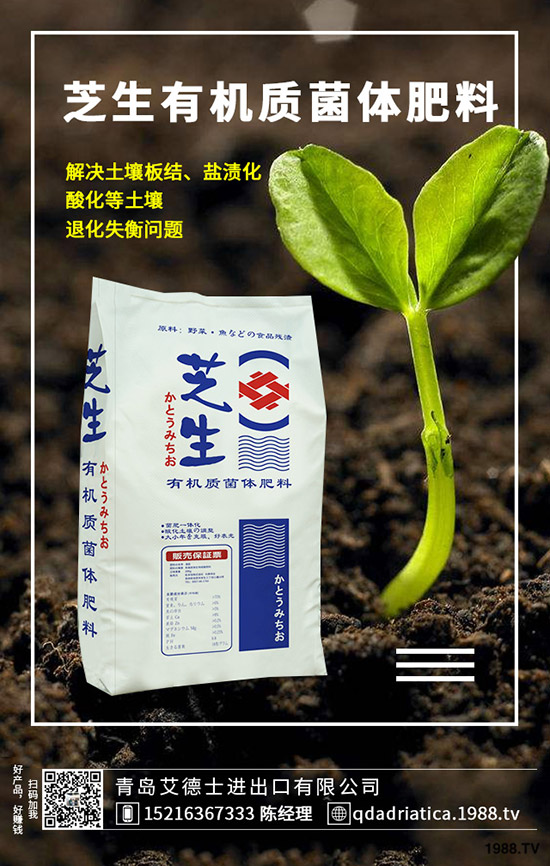 ��������Щ�I(y��ng)�B(y��ng)�r(ji��)ֵ�����ҵĹ�Ч�c������ʲô������xُ(g��u)��