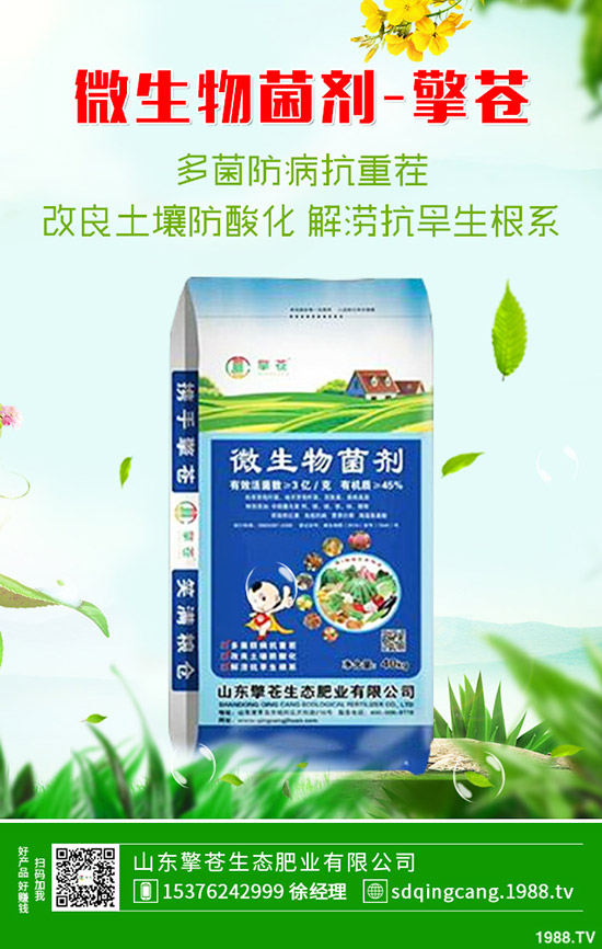     2020��1��1�ն��@����(ch��)����һ�����r(ji��)��(w��n)��ƫ���\(y��n)����