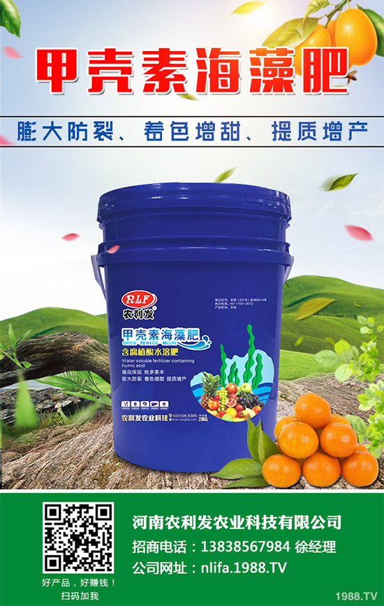 �t���c�uѪ������Щ�^(q��)�e�����߹�Ч�÷��cʹ�ý���