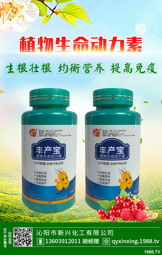 ���Ӳ��ܷN�ô�ײ�����ײ˸߮a(ch��n)�Nֲ���g(sh��)Ҫ�c(di��n)