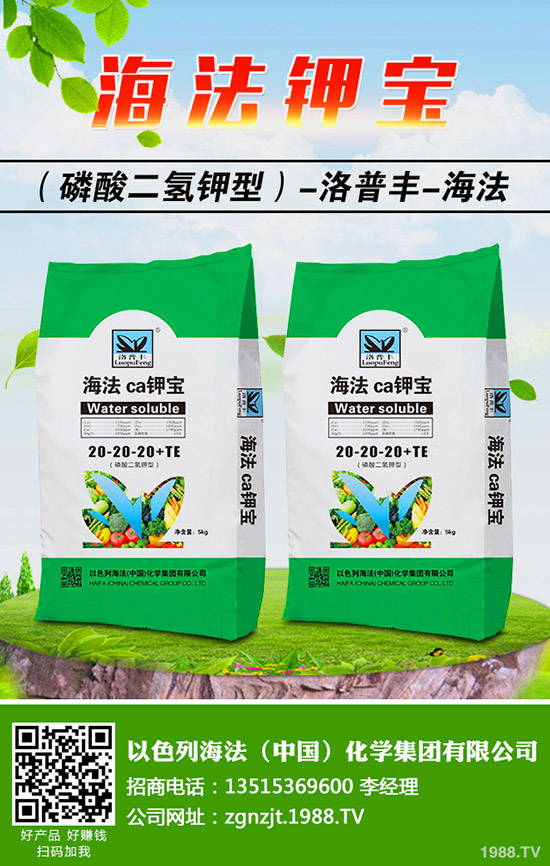 �������ö�������޼�����䶬���޼��ĕr�g��������