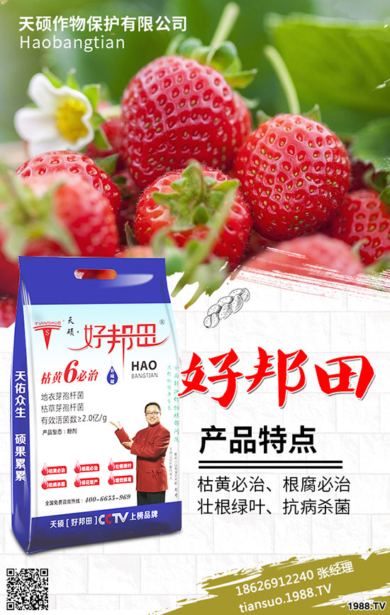 2020���r(n��ng)��Nֲʲôˮ��ٍ�X����Щ�N����Ʒ�N���^����