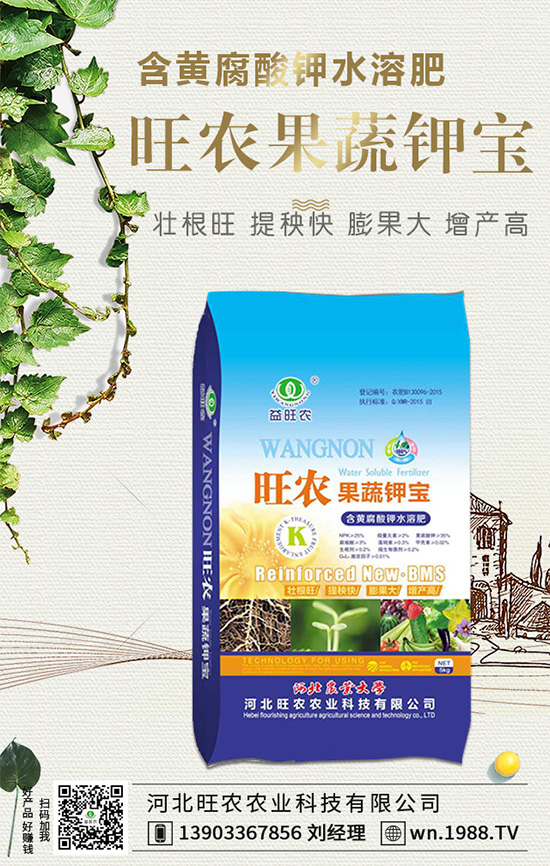 ���������L��(x��)������Щ���������B(y��ng)�o(h��)Ҫ�c��