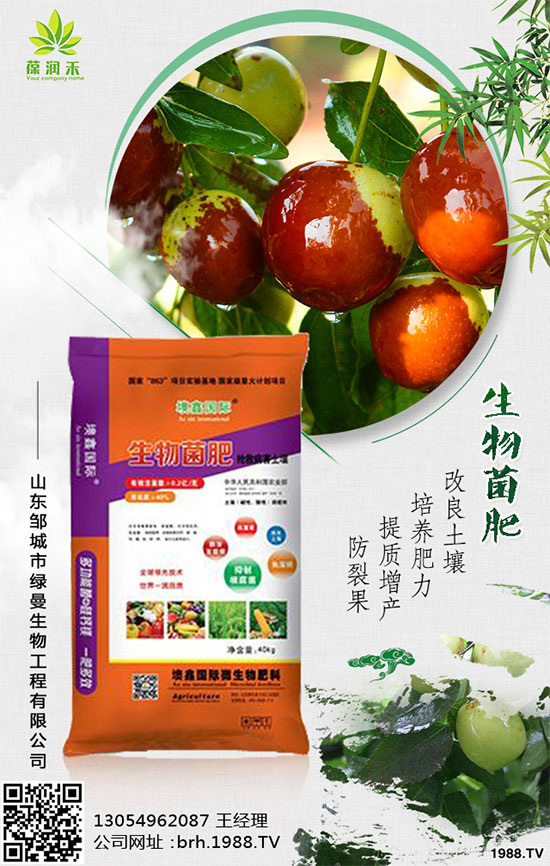 西蘭花什么時候種植?西蘭花種植注意事項!