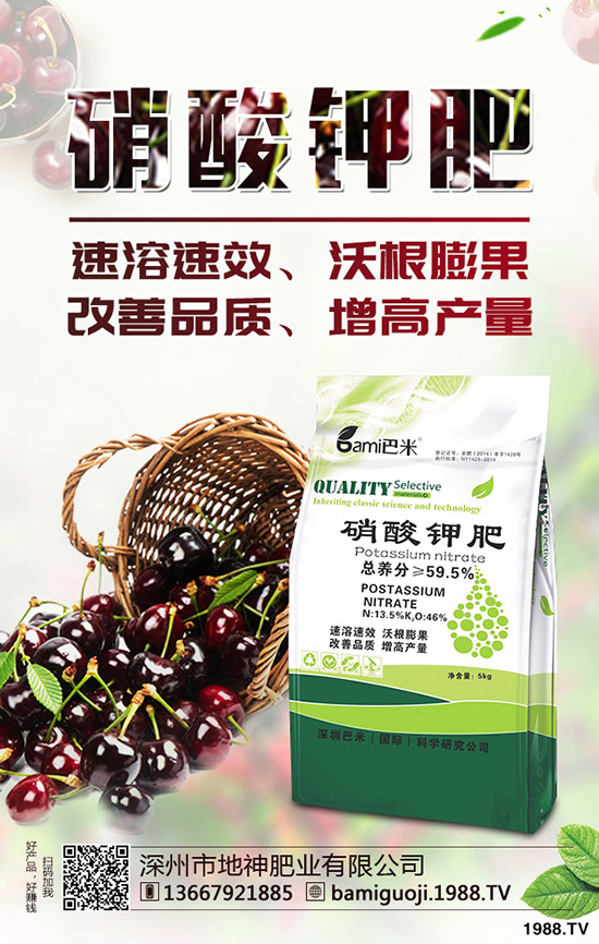 �t������r�g��ʲô�r�����t�����緽������Щ��