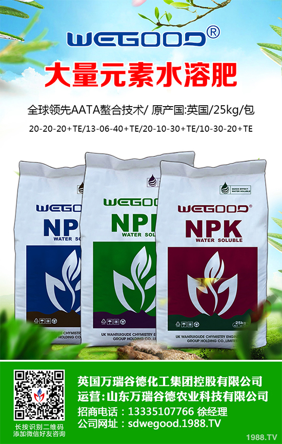 ¶������ʲô�r��Nֲ��¶�������߮a(ch��n)�Nֲ���g(sh��)